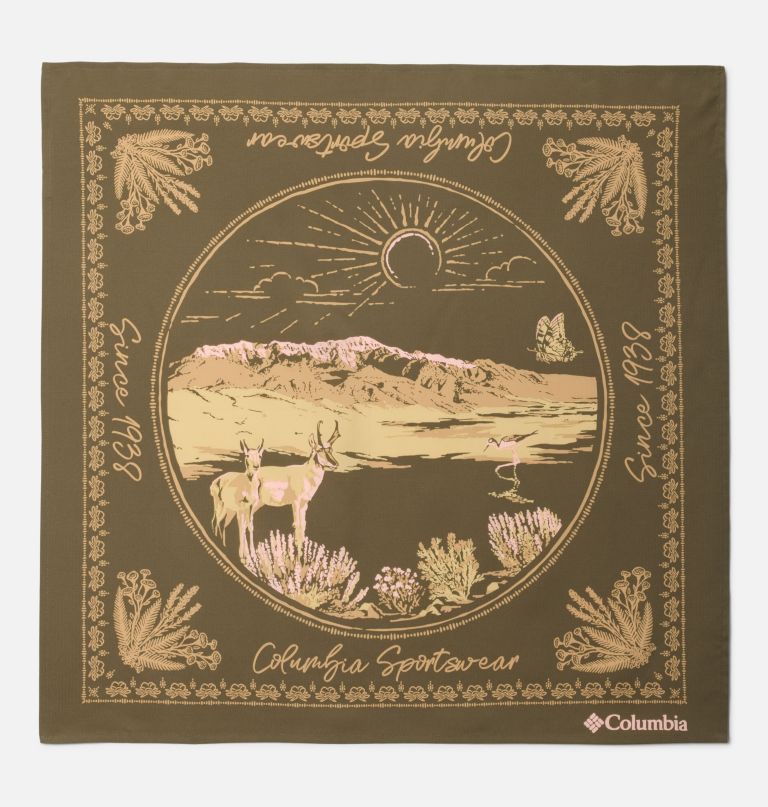 bandana skien valley
