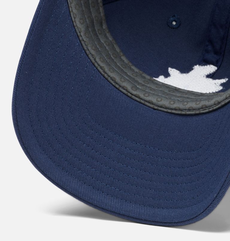 czapka pfg bonehead dad
